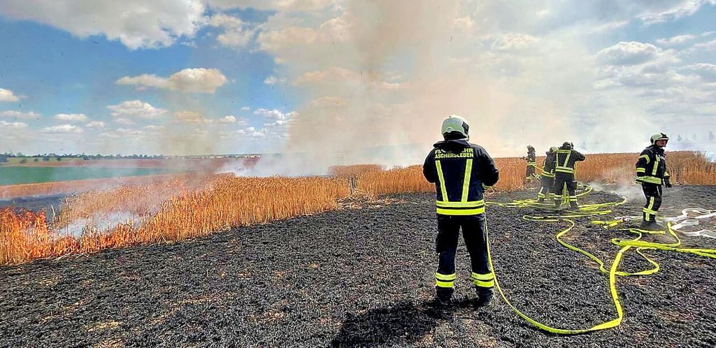 Die Ortswehren löschten den Brand bei Klein Schierstedt.