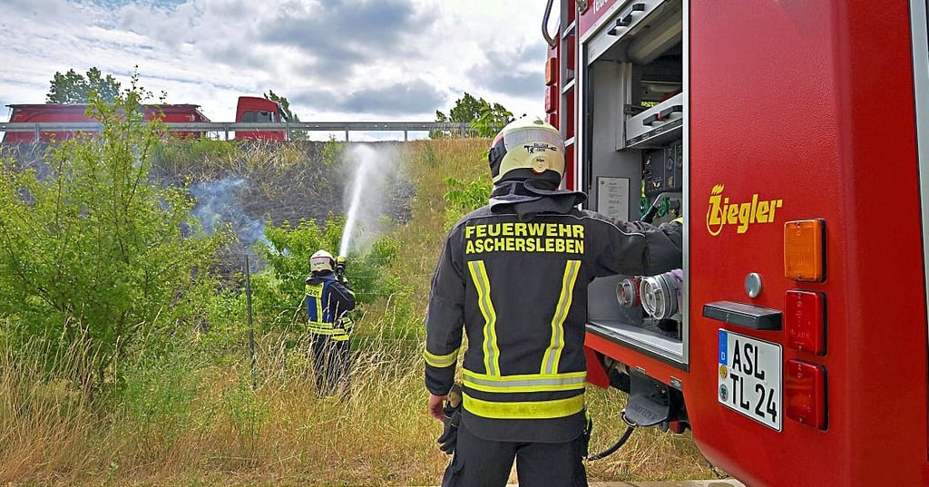 Weiter im Einsatz war die Feuerwehr Aschersleben am Donnerstag.