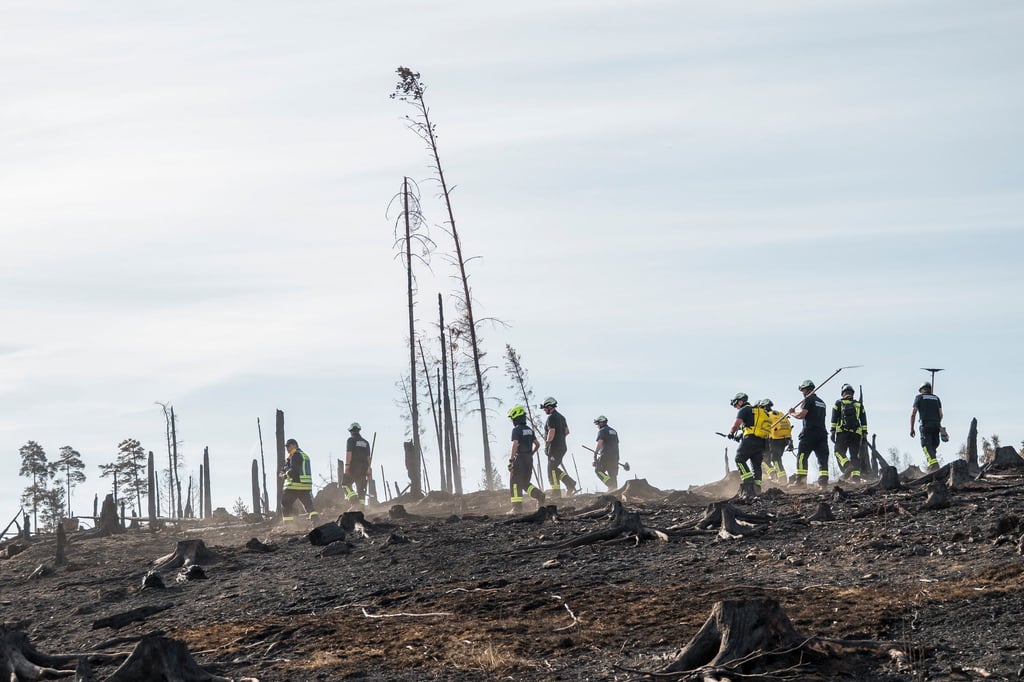 Viele Menschen helfen beim Waldbrand auf der Saalfelder Höhe zusammen.