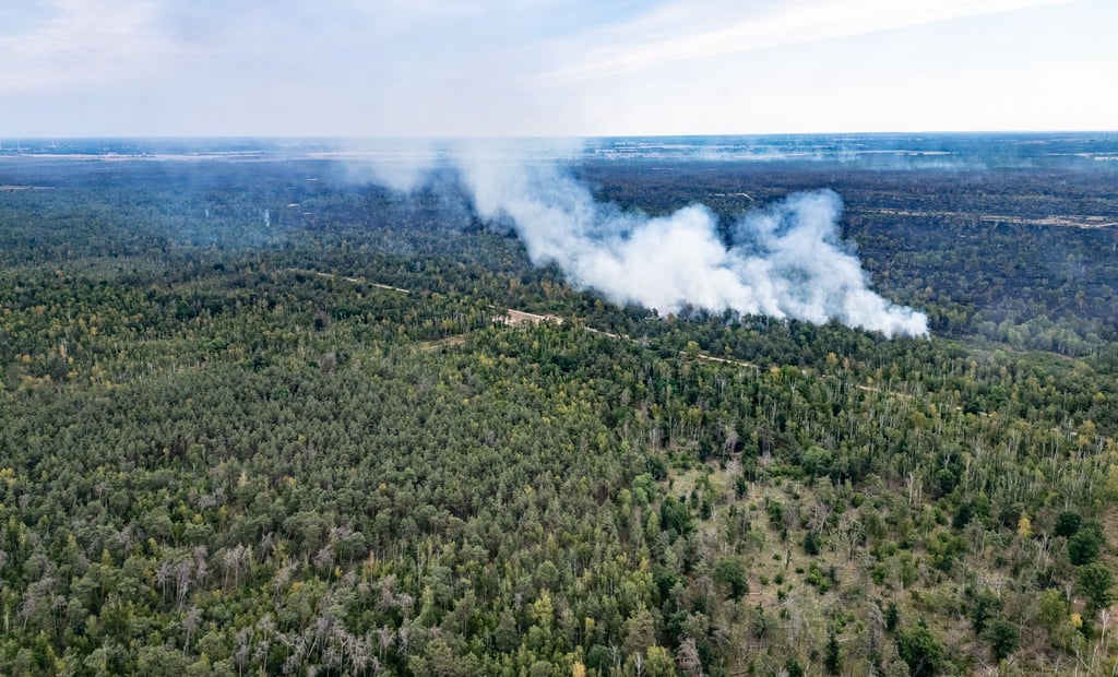 Satellitenbilder sollen das Ausmaß des Brandes zeigen. (Archivbild)