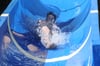 Freibad Albertine Harzgerode mit Rutschenmeisterschaft und Schnuppertauchen.