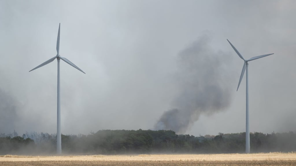 Waldbrand: Wind dreht Richtung Brandenburg - Warnung vor Brandgeruch