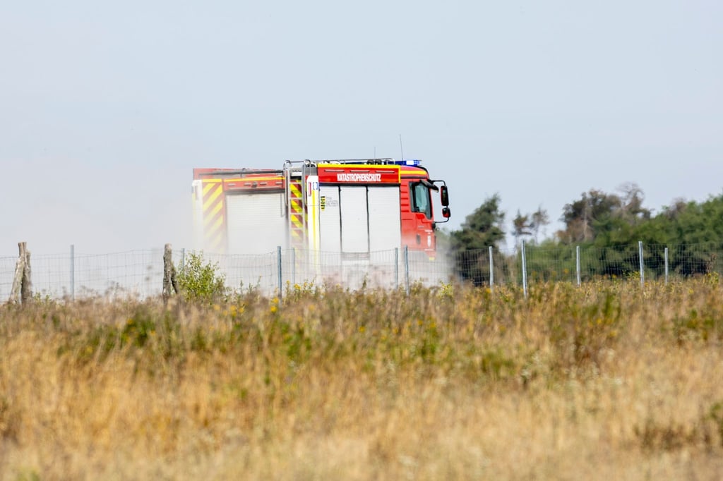 Die Gemeinde Zeithain sammelt wegen des Waldbrandes Geldspenden.