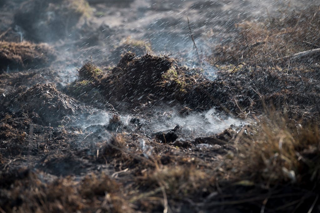 An vielen Orten qualmt der Waldboden.