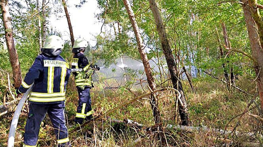 Die Feuerwehren aus der Region helfen als Unterstützung der Brandschutz-Fachdienste des Salzlandkreises im benachbarten Landkreis Anhalt-Bitterfeld beim Löschen.