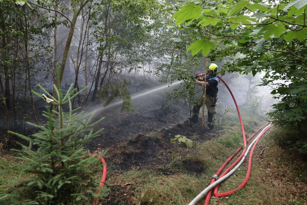 Die Feuerwehr musste im Stadtwald von Gera anrücken.