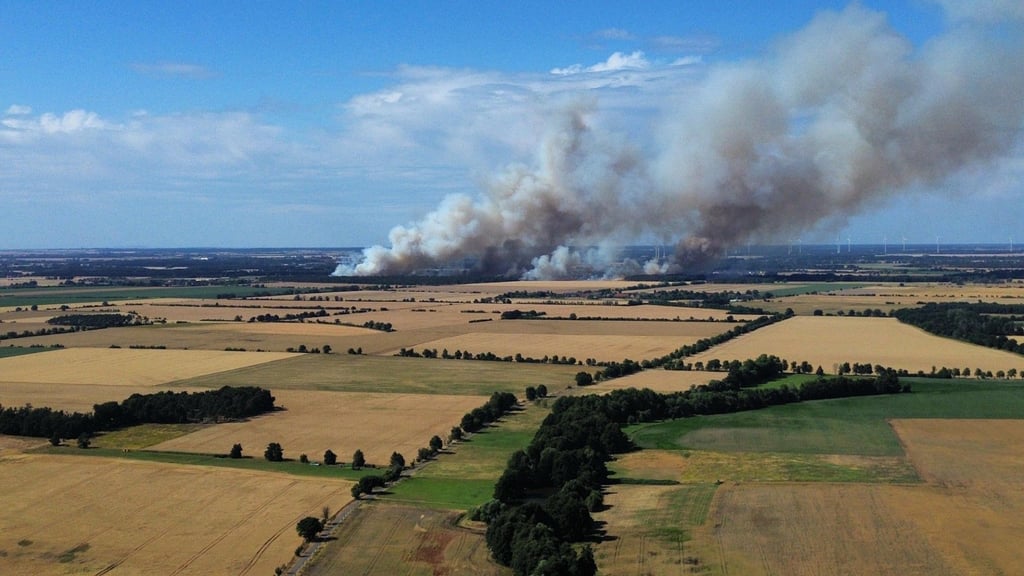Ein riesige Rauchwolke war zu sehen. Der Wind trieb das Feuer rasend schnell voran.