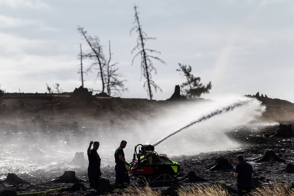 Immer wieder beschäftigen Glutnester die Feuerwehrleute.