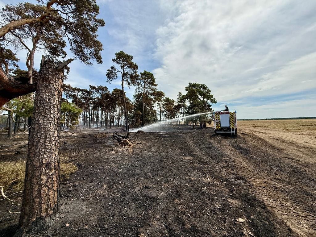 Am Sonntag dauerten die Löscharbeiten an. Immer wieder flammten Glutnester auf.