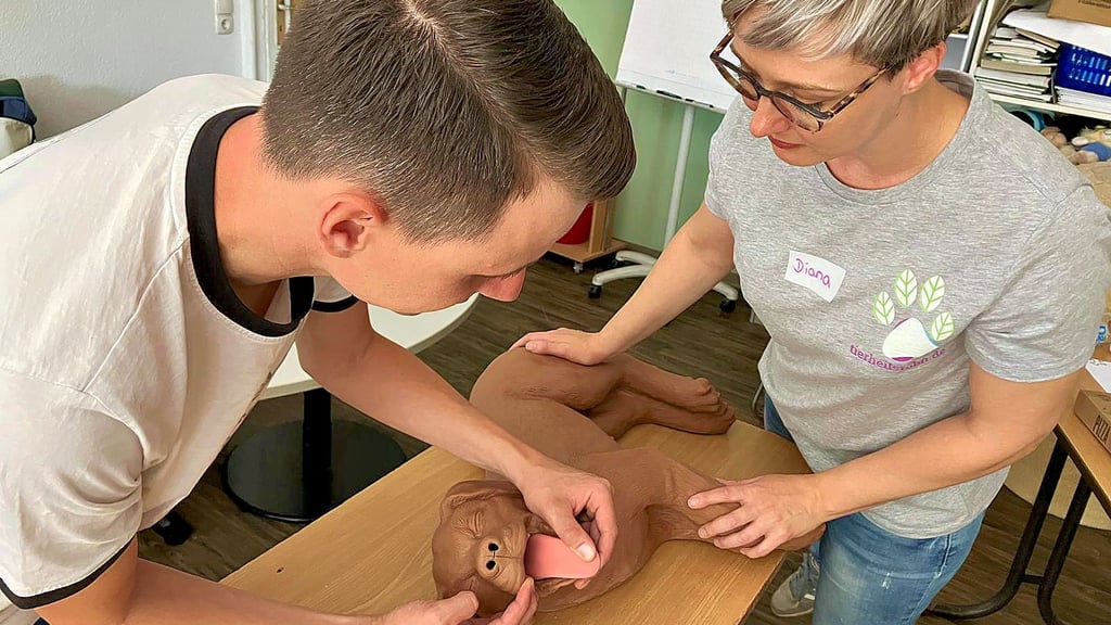 Alle Teilnehmer können Reanimation an einem Dummyhund üben.