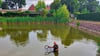 Michael Warthemann von der Poleyer Angelgruppe bringt die Schläuche in den Teich.