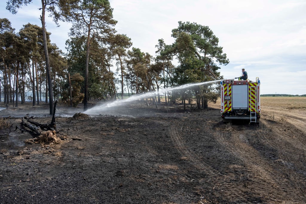 Wald- und Feldbrand bei Jütrichau /Wertlau. Auch am Sonntag waren noch zahlreiche kameraden zur Glutnestbekämpfung im Einsatz.