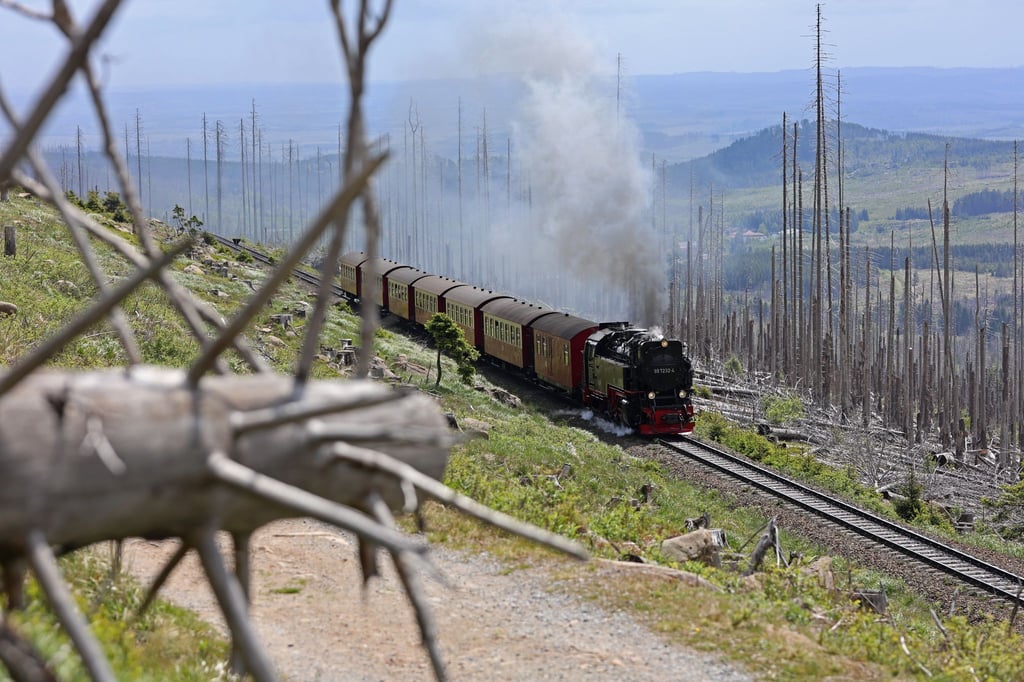 Wegen hoher Waldbrandgefahr durften die Dampfloks zuletzt nicht auf den Brocken. (Archivbild)