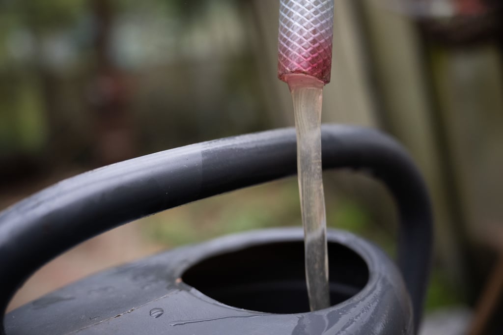 Wasser sparen in Merseburg und Umgebung: Die Kreisverwaltung erlässt ein striktes Bewässerungsverbot für öffentliche und private Flächen – Verstöße werden teuer.