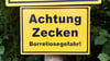Die Zahl der Borreliose-Infektionen ist in Sachsen-Anhalt deutlich gestiegen.