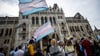 Fünf waagrecht verlaufende Streifen in den Farben Blau, Rosa und Weiß: Menschen schwenken bei einer Trans Pride Parade Transgender-Fahnen.