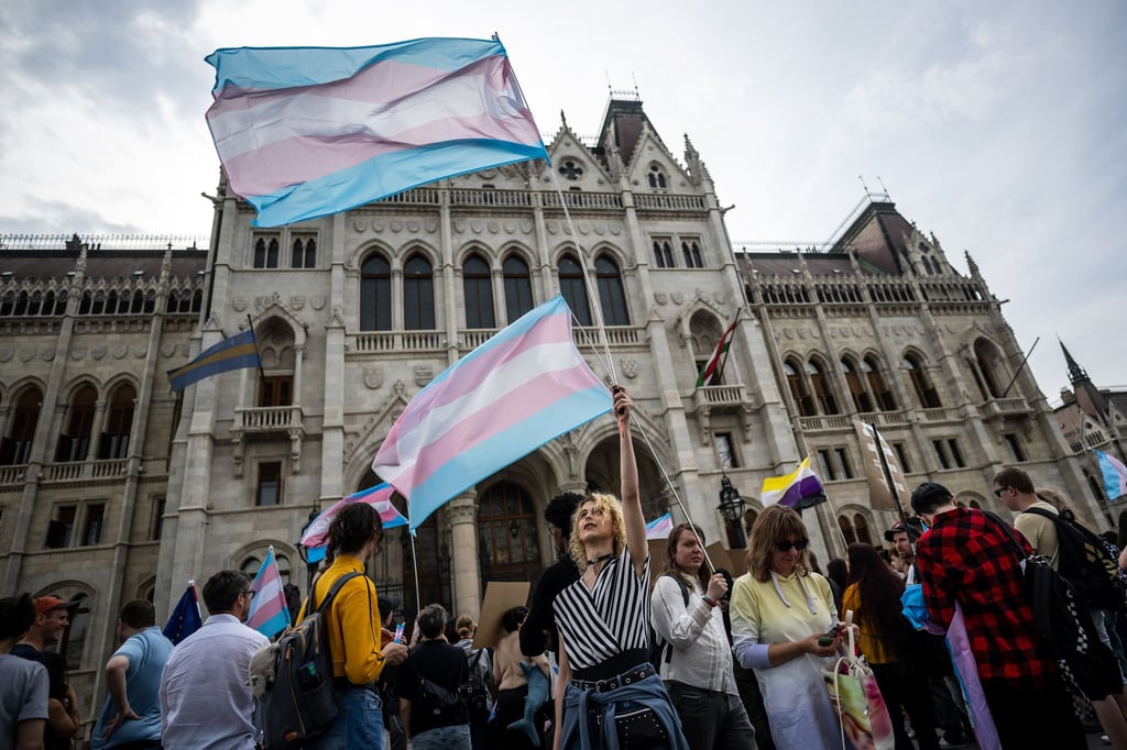 Fünf waagrecht verlaufende Streifen in den Farben Blau, Rosa und Weiß: Menschen schwenken bei einer Trans Pride Parade Transgender-Fahnen.