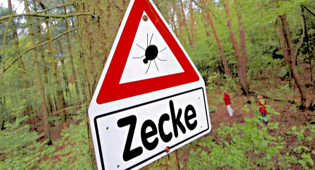 Symbolbild: Warnung vor Zecken