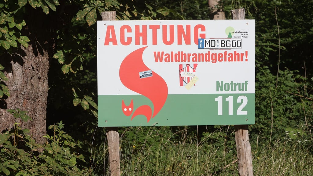 In Karlsfeld bei Wittenberg hat ein Vegetationsbrand für einen Großeinsatz gesorgt (Archivbild)