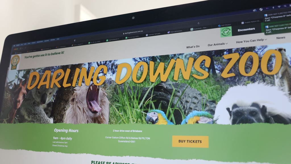 Notfall in Queensland: Löwen-Angriff in australischem Zoo: Frau verliert ...