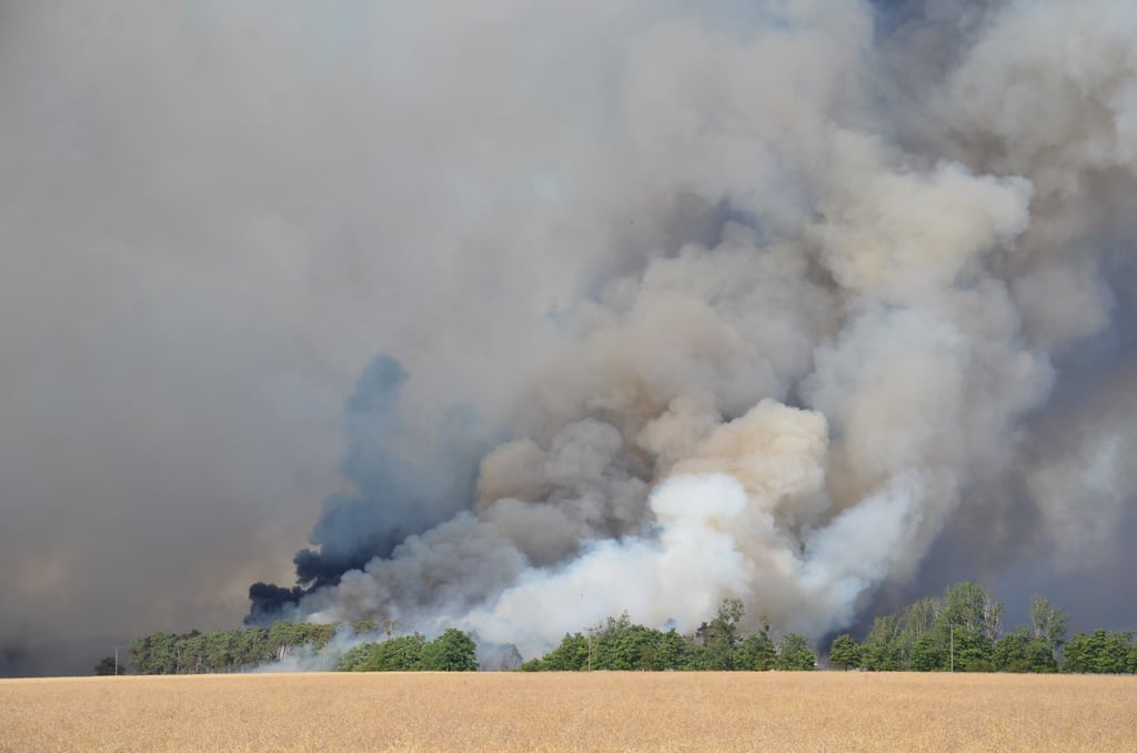 Zwischen Pakendorf und Wertlau hatte sich am 5. Juli ein riesiger Flächenbrand entwickelt.