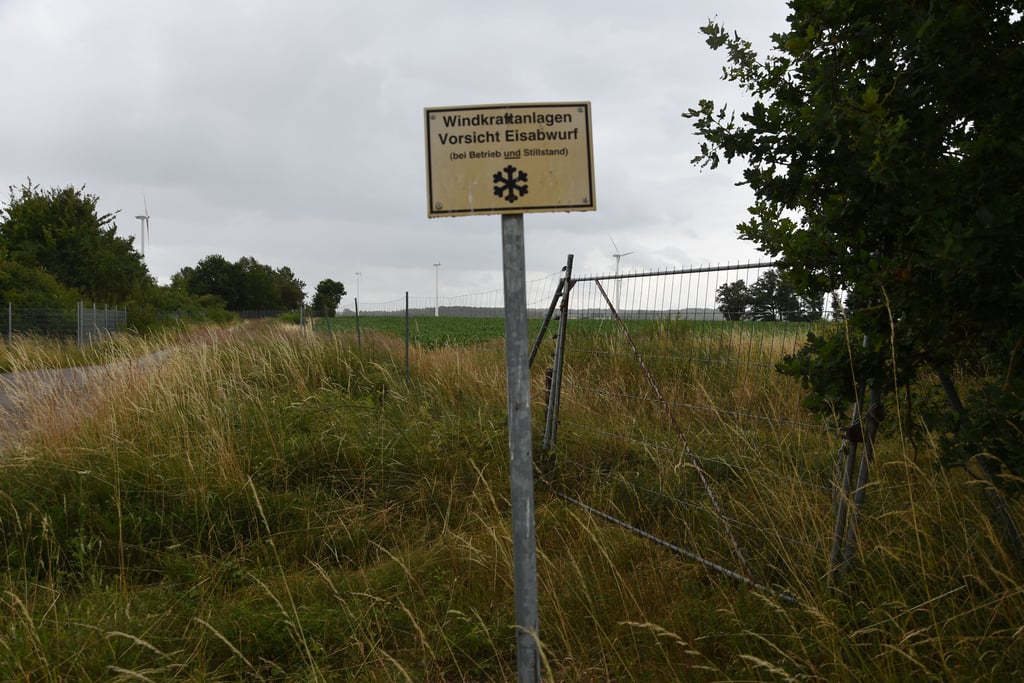Links die Umzäunung des Silbersees, rechts die nur teilweise eingezäunte Acker- und Waldfläche, die der Landestochter MDSE gehört,