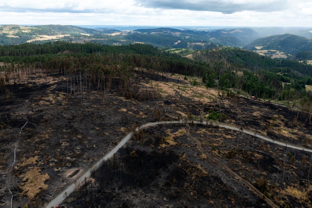 Wie groß ist der Schaden durch den Waldbrand bei Saalfeld? Das will das Land feststellen.