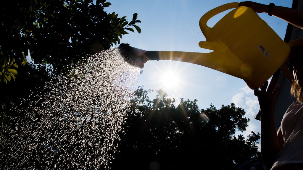 Der Sommer kommt und bringt hohe Temperaturen mit. In einigen Orten in Sachsen-Anhalt ist jetzt das Wässern verboten.