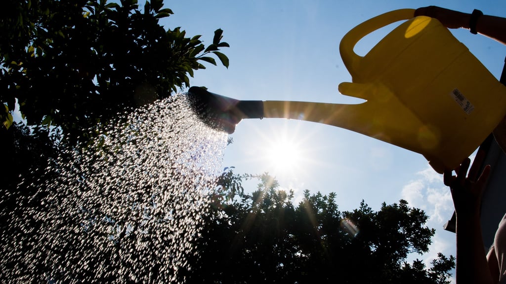 Der Sommer kommt und bringt hohe Temperaturen mit. In einigen Orten in Sachsen-Anhalt ist jetzt das Wässern verboten. 