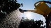 Der Sommer kommt und bringt hohe Temperaturen mit. In einigen Orten in Sachsen-Anhalt ist jetzt das Wässern verboten.&nbsp;