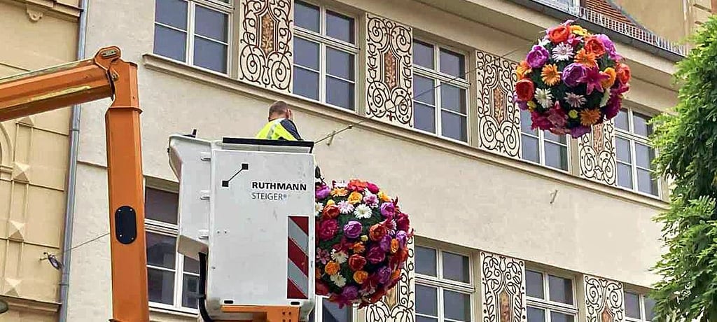 Die Ascherslebener Kaufmannsgilde nimmt ihren Blumenschmuck in der Innentstadt ab.