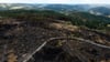 Wie groß ist der Schaden durch den Waldbrand bei Saalfeld? Das will das Land feststellen.