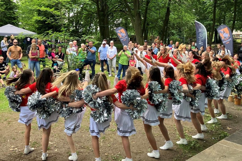 Die "Happy Dancer“ vom SV Stahl Thale treten auch wieder auf.