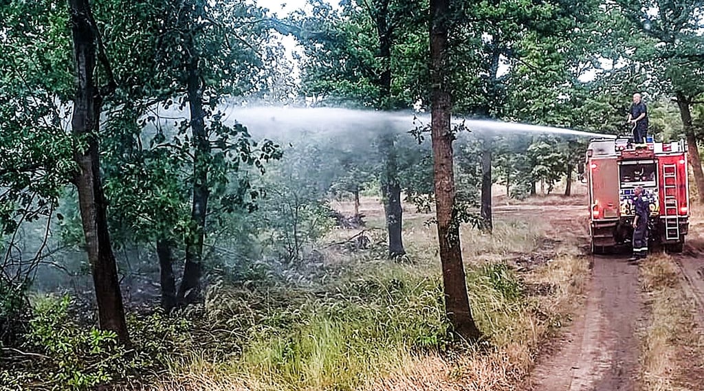 Die Feuerwehrleute der Mansfelder Wehren in Aktion in der Gohrischheide bei Jacobsthal.