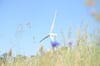Die Windräder bei Salzwedel sollen Zuwachs bekommen.