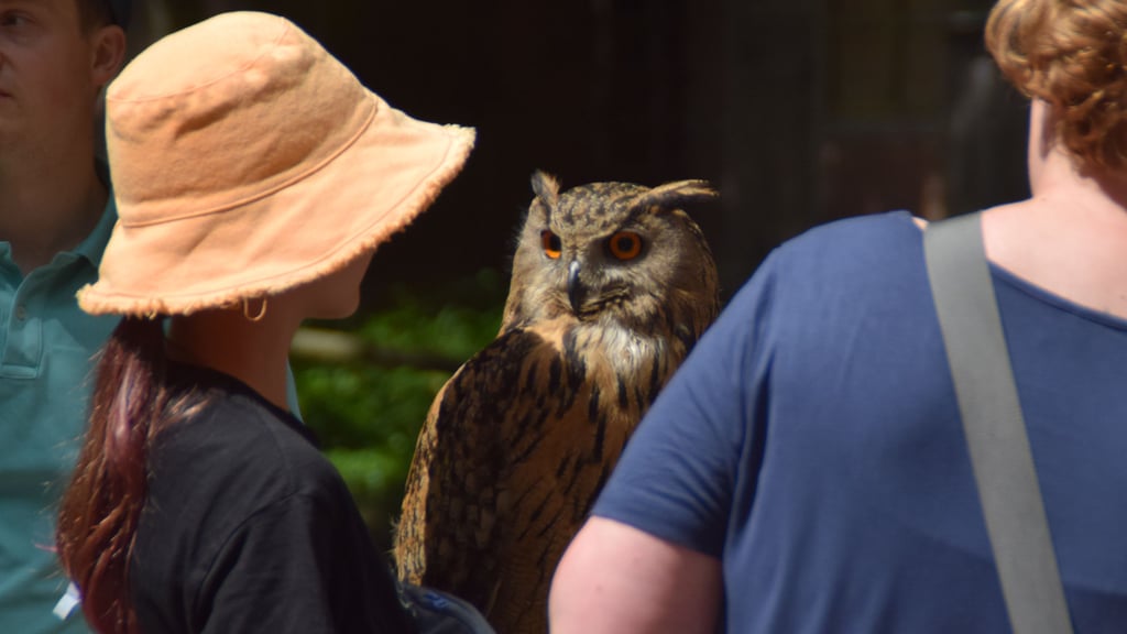 Eine besondere Begegnung beim Tierparkfest 2024 in Thale.