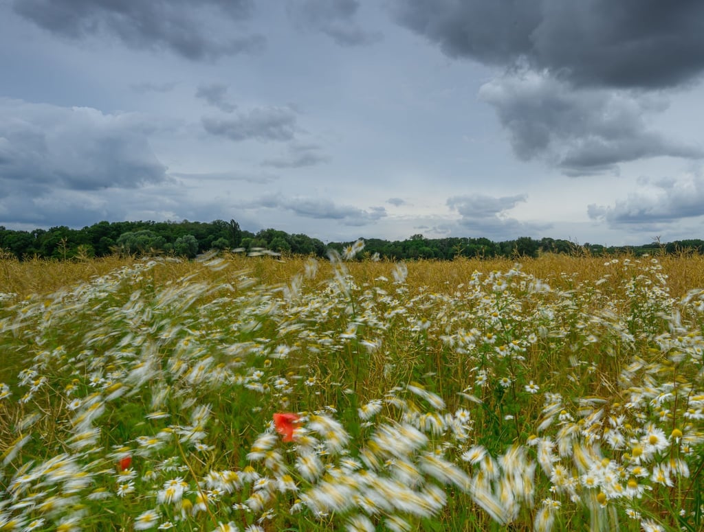 Schauer bringen in den nächsten zwei Tagen örtlich Regen, bis sich die Sonne ihre Bahn durch die Wolkendecke bricht. (Symbolbild)