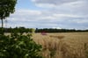 Das Auto kam erst ein einem Feld zum Stehen.