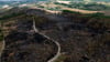 Laut der Landesforstanstalt durchziehen derzeit rund 11.100 Kilometer Weg die Thüringer Wälder.