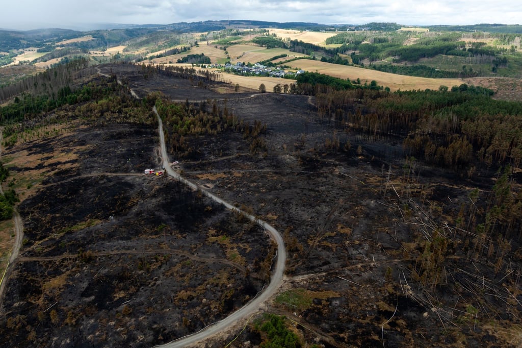 Laut der Landesforstanstalt durchziehen derzeit rund 11.100 Kilometer Weg die Thüringer Wälder.