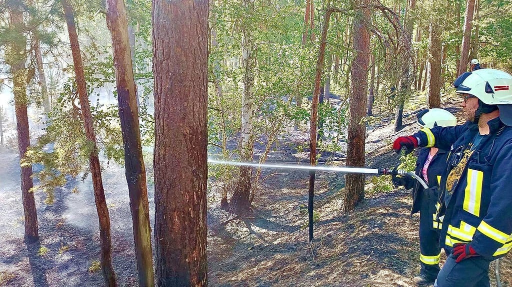 Kameraden von mehreren Wehren löschen am Freitagabend einen Waldbrand in Annaburg.