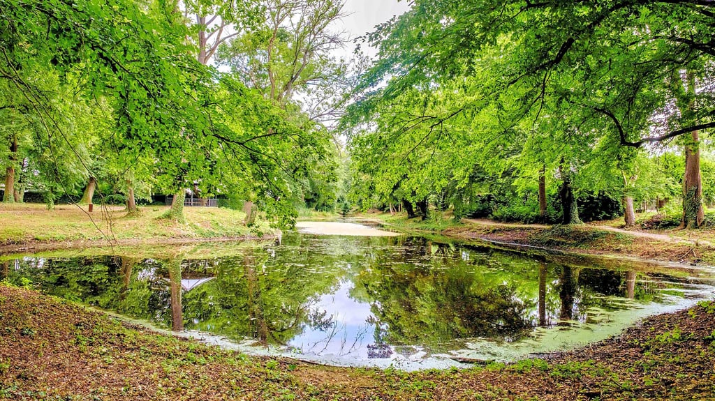 Der Schlossteich in Schköna ist entkrautet und renaturiert. Er bietet einen schönen Anblick.
