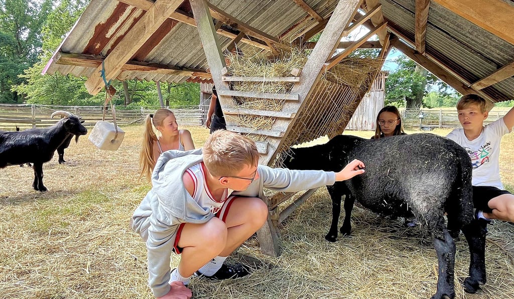 Mädchen und Jungen, die im Heilpädagogischen Kinder- und Jugendheim in Köckte leben, verbringen gerne einen Teil ihrer Freizeit bei den Tieren.