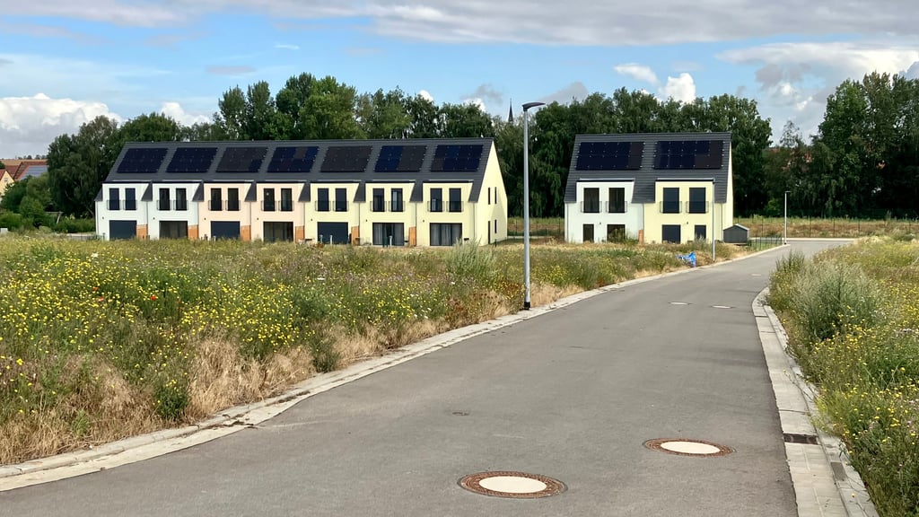 Gras und Wildblumen schießen auf den unbebauten Flächen in die Höhe: Das Wohnbaugebiet „Mühlenblick“ in Warnstedt kommt nicht in Schwung.