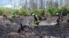 Die Feuerwehr hat das Waldbrandgebiet auf der Saalfelder Höhe noch weiter im Blick, auch nachdem der Katastrophenfall aufgehoben wurde. (Archivbild)