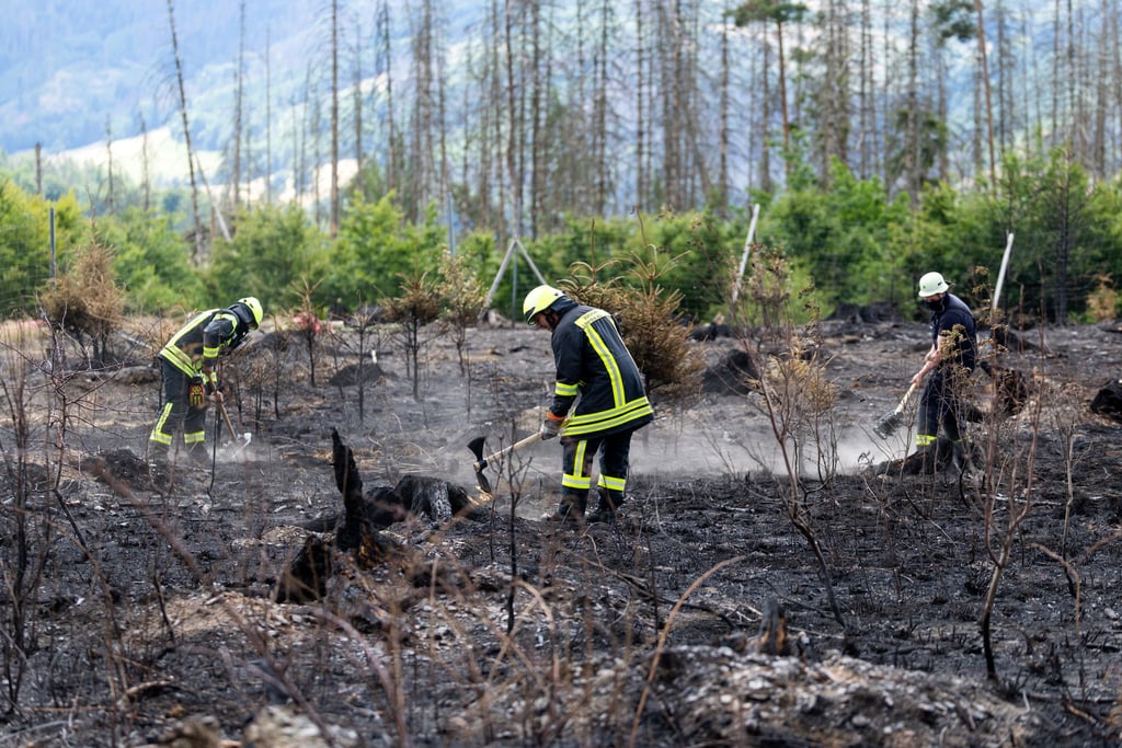 Die Feuerwehr hat das Waldbrandgebiet auf der Saalfelder Höhe noch weiter im Blick, auch nachdem der Katastrophenfall aufgehoben wurde. (Archivbild)