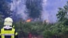 Nach dem Waldbrand in der Gohrischheide werden Rufe nach einem besseren Brandschutz laut. (Archivbild)