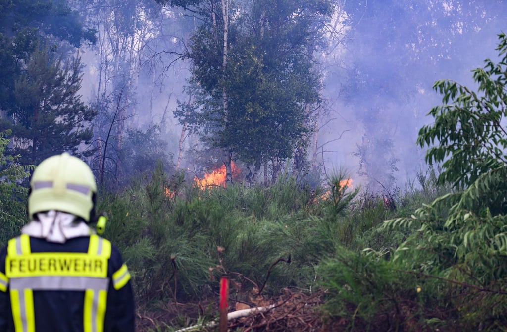 Nach dem Waldbrand in der Gohrischheide werden Rufe nach einem besseren Brandschutz laut. (Archivbild)