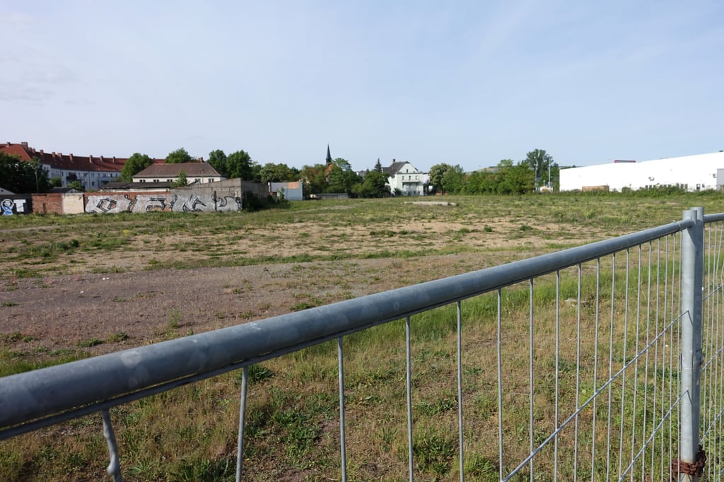 Auf dieser Brache an der Friedrich-Ebert-Straße in Magdeburg sollen sich der Rewe-Supermarkt und weiteres Gewerbe ansiedeln.