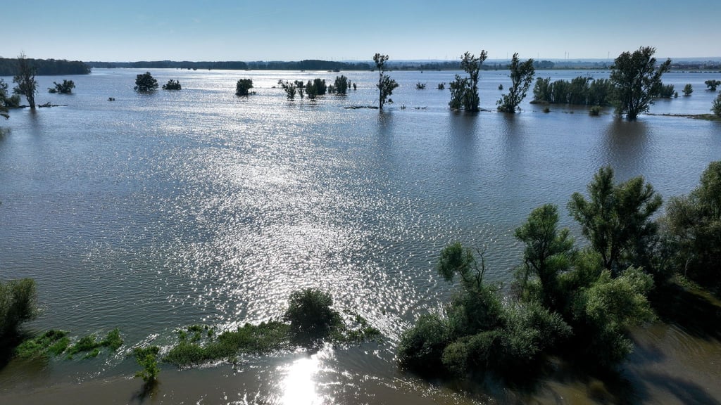 Im vergangenen Jahr hatten Hochwasser vor allem im Süden und Osten Sachsen-Anhalts für Überschwemmungen gesorgt. (Archivbild)